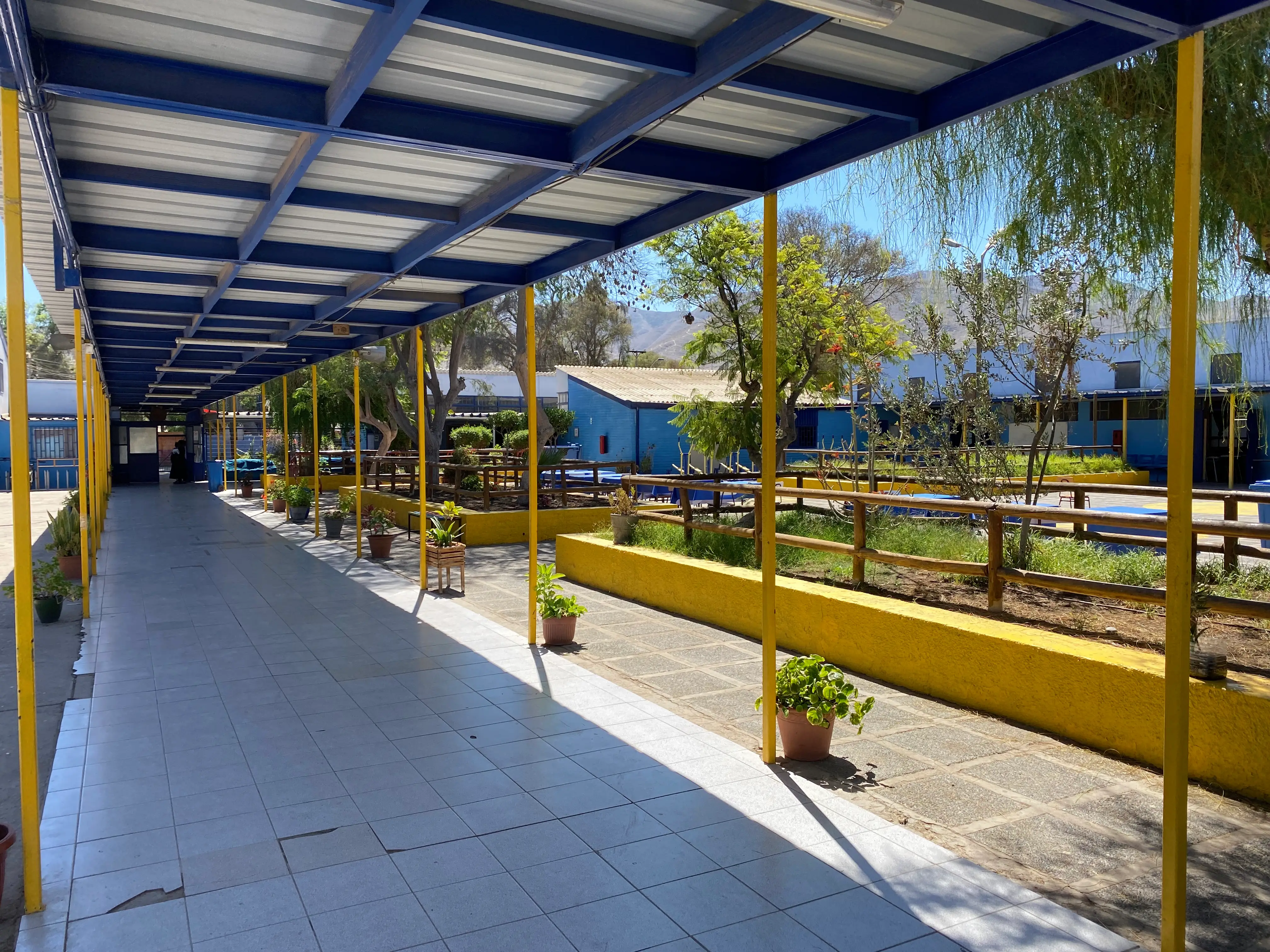 Estudiantes en recreo