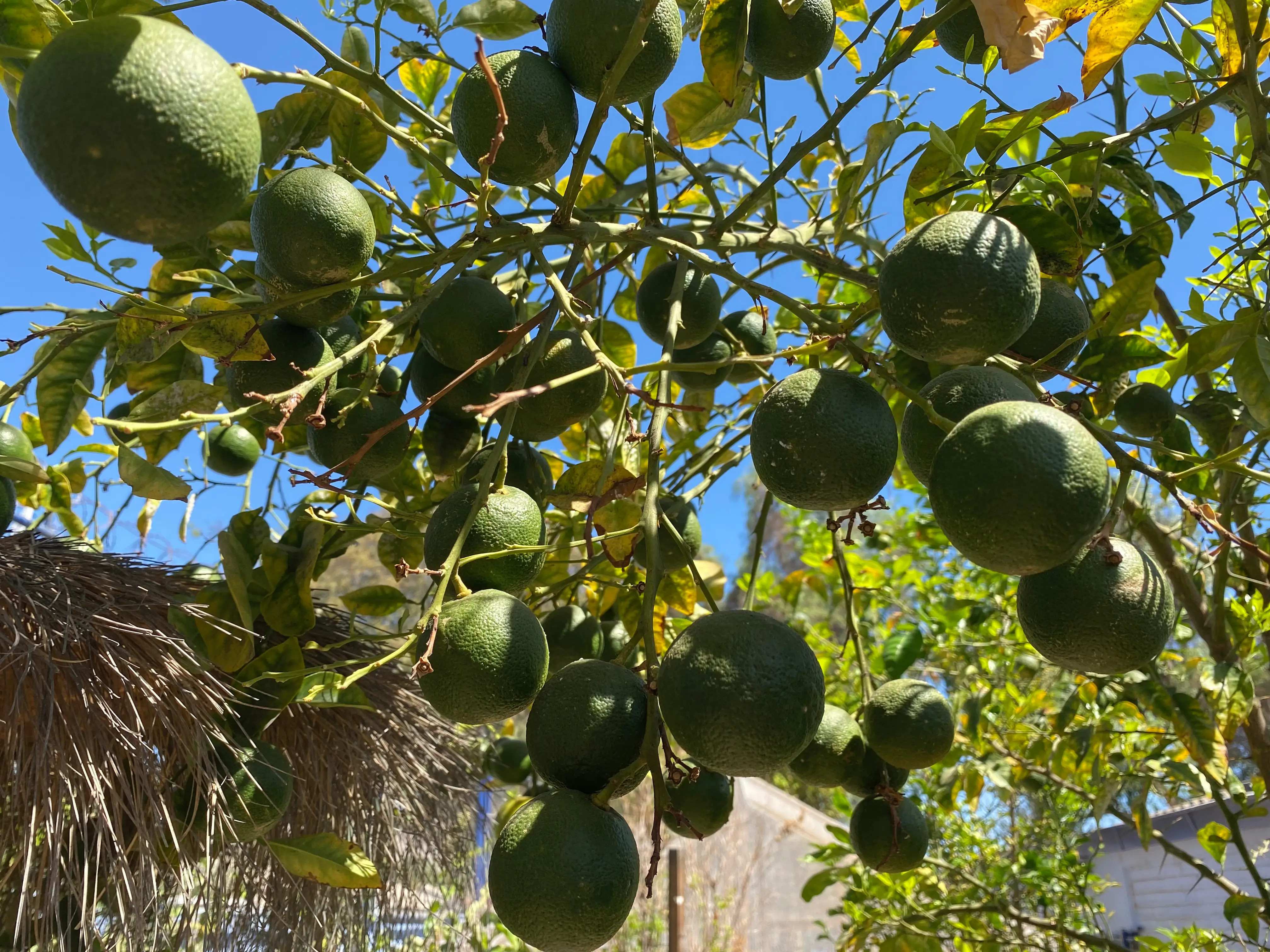 Docentes y estudiantes
